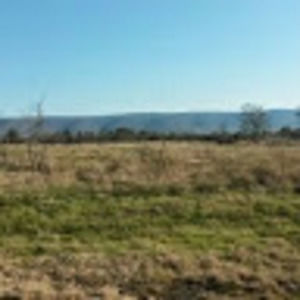 Meet your Posher, Billy